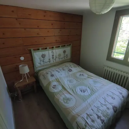 Appartement Avec Vue Sur Le Sancy, Parking Gratuit Le Mont-Dore Buitenkant foto