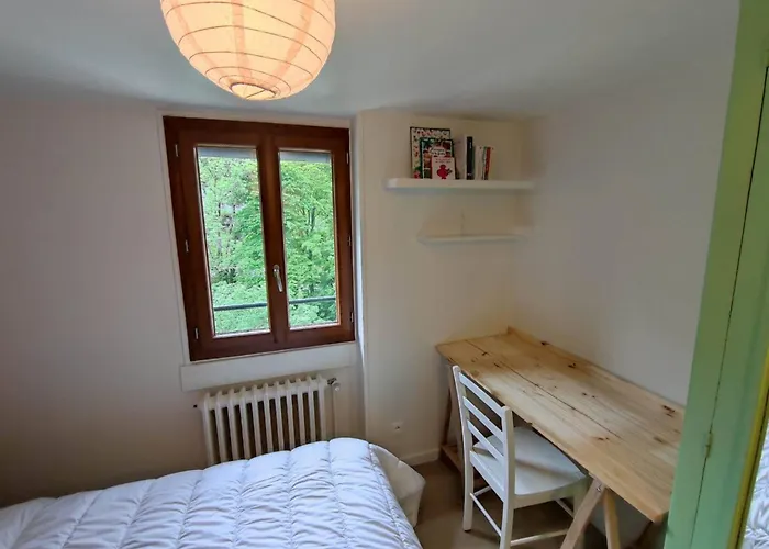 Appartement avec vue sur le Sancy, parking gratuit