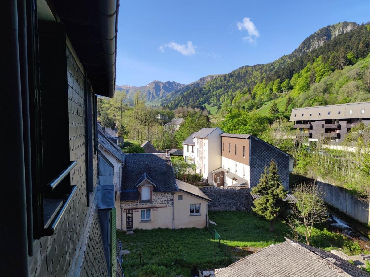 Appartement Avec Vue Sur Le Sancy, Parking Gratuit